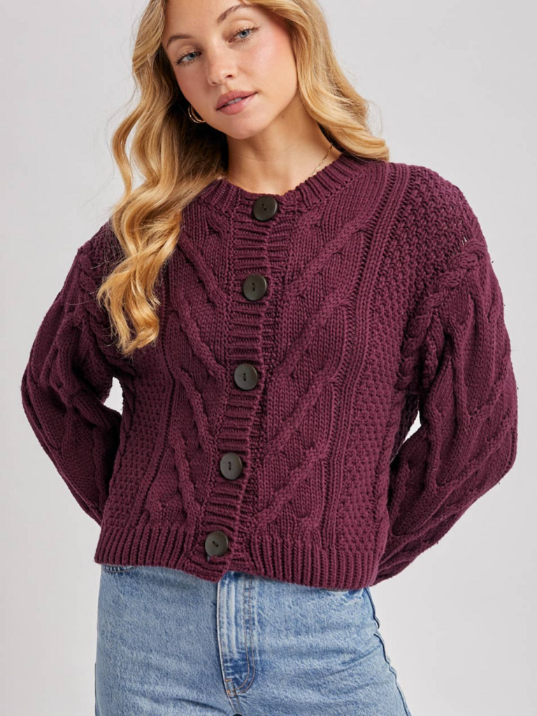 Bluivy Cropped Cable Knit Sweater Cardigan