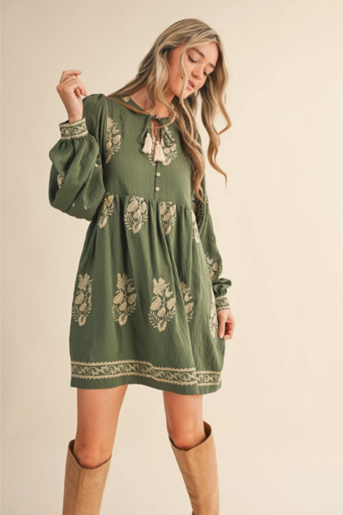 & Merci Embroidered Long Puff Sleeve Mini Dress