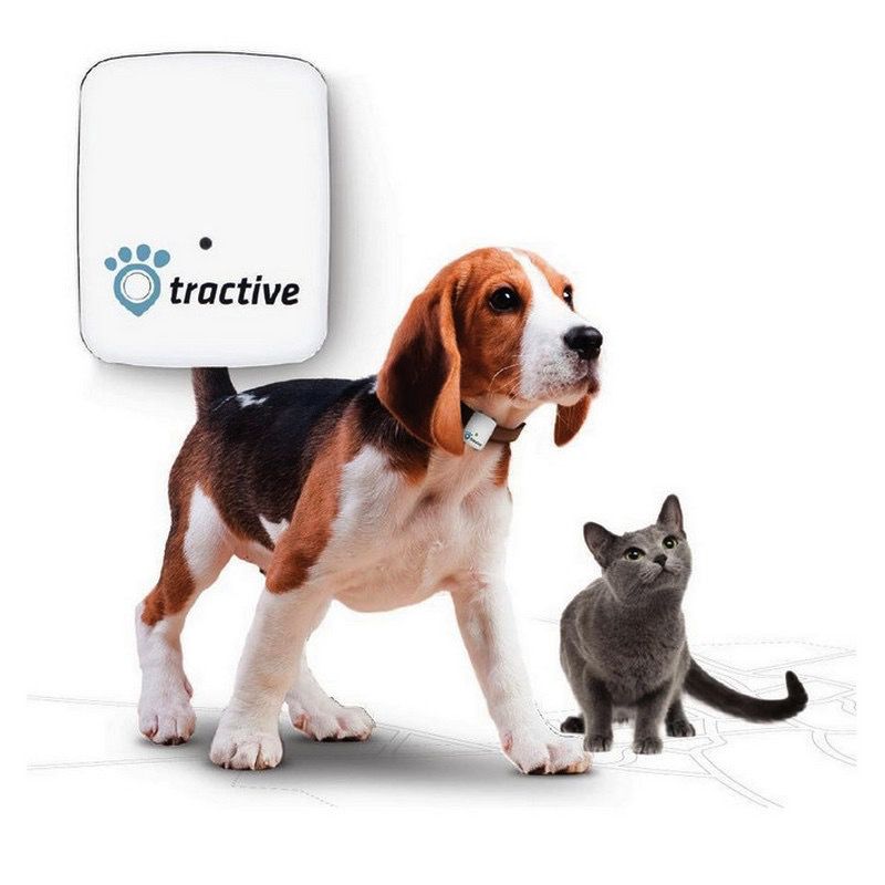 tractive gps pet tracker
