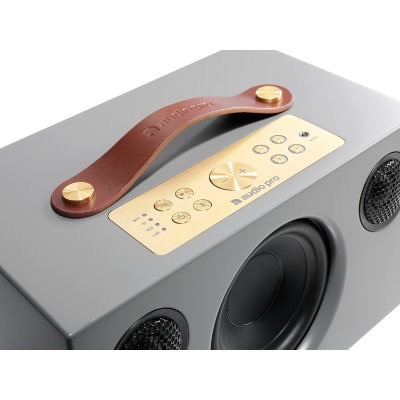 pro audio c10