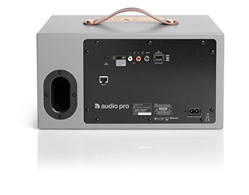 audio pro addon c10
