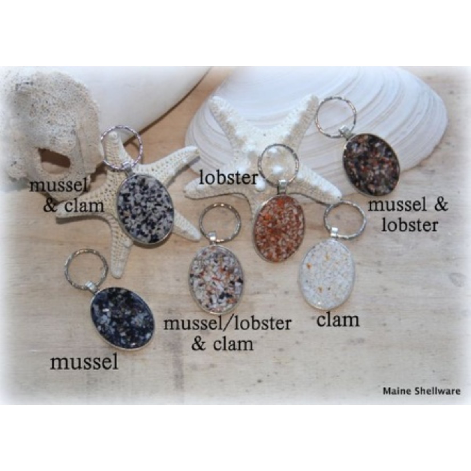 Maine Shellware Sea Shell Keychain