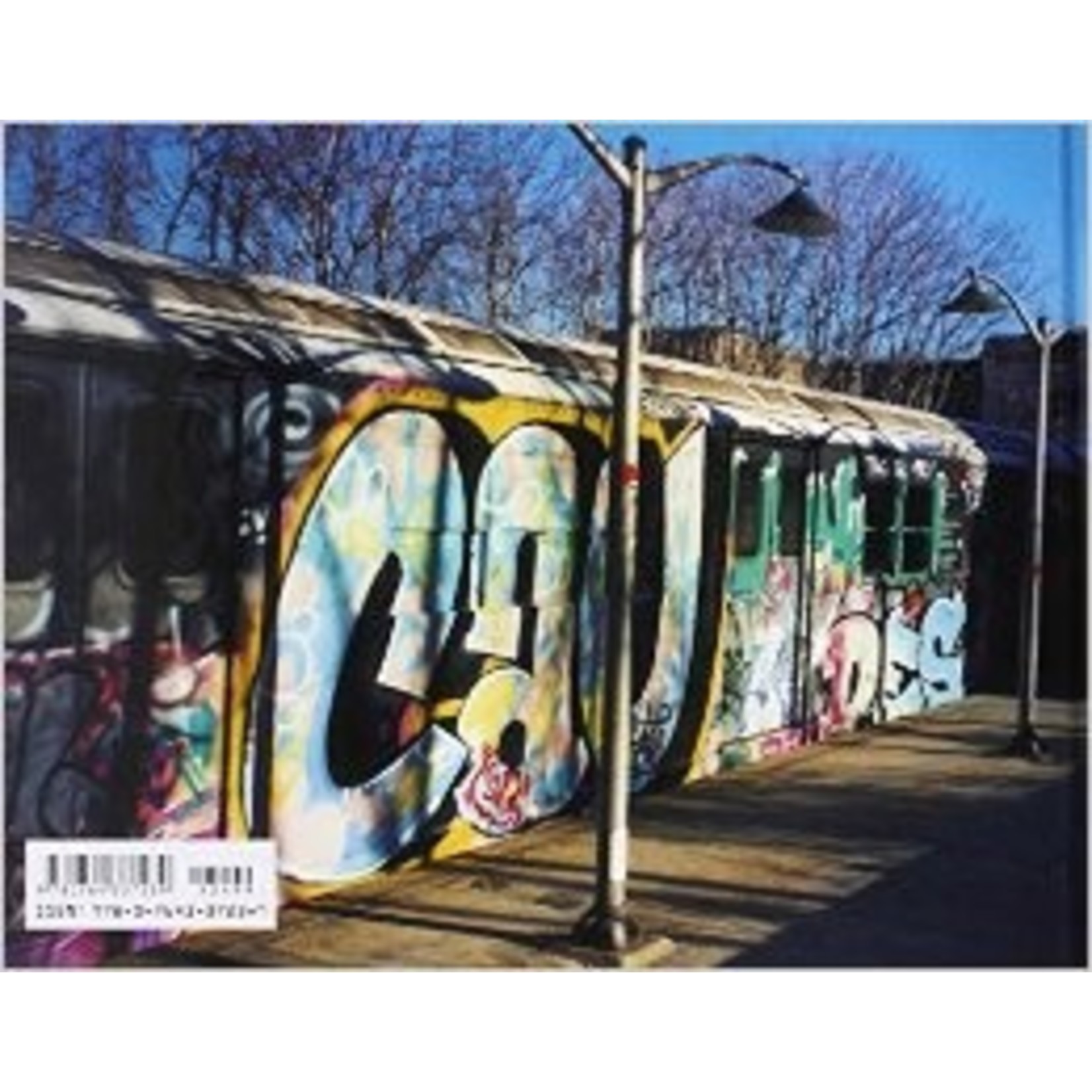 Schiffer Publishing From the Platform: Subway Graffiti 1983-1989