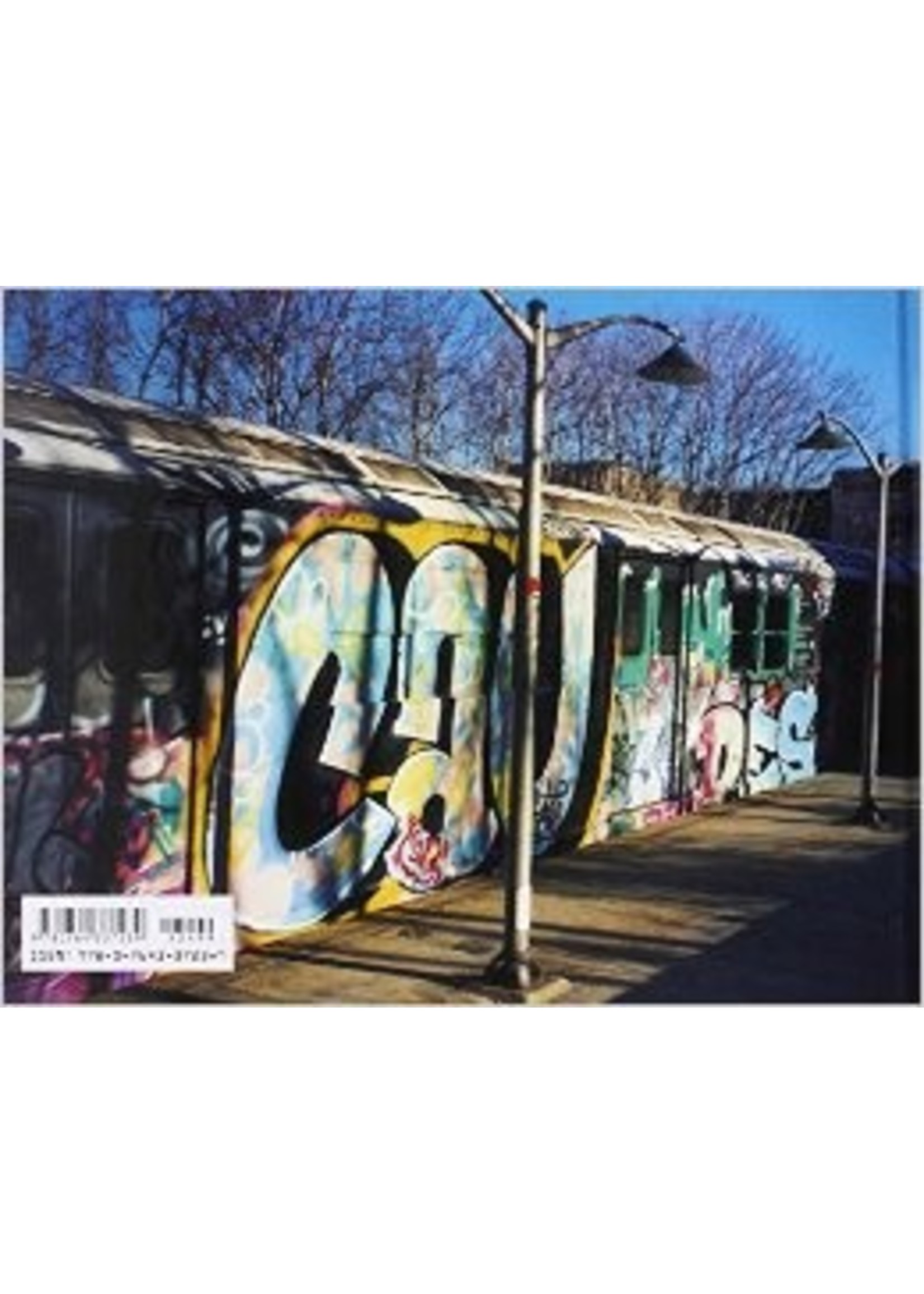 Schiffer Publishing From the Platform: Subway Graffiti 1983-1989