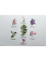 The Bouquet Box of Post Cards (Fundraiser for  Narcissus Car #14)