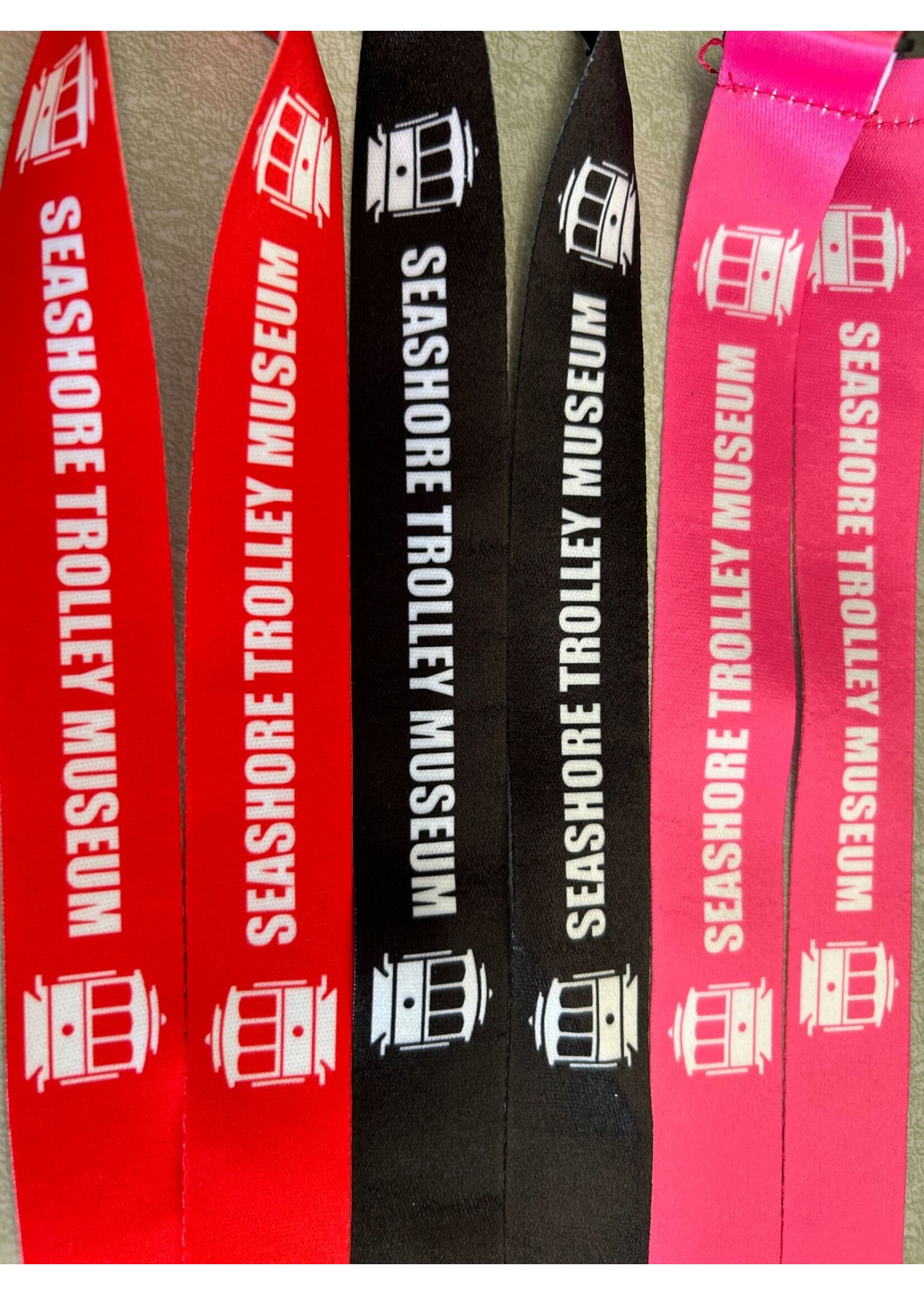 STM Lanyard