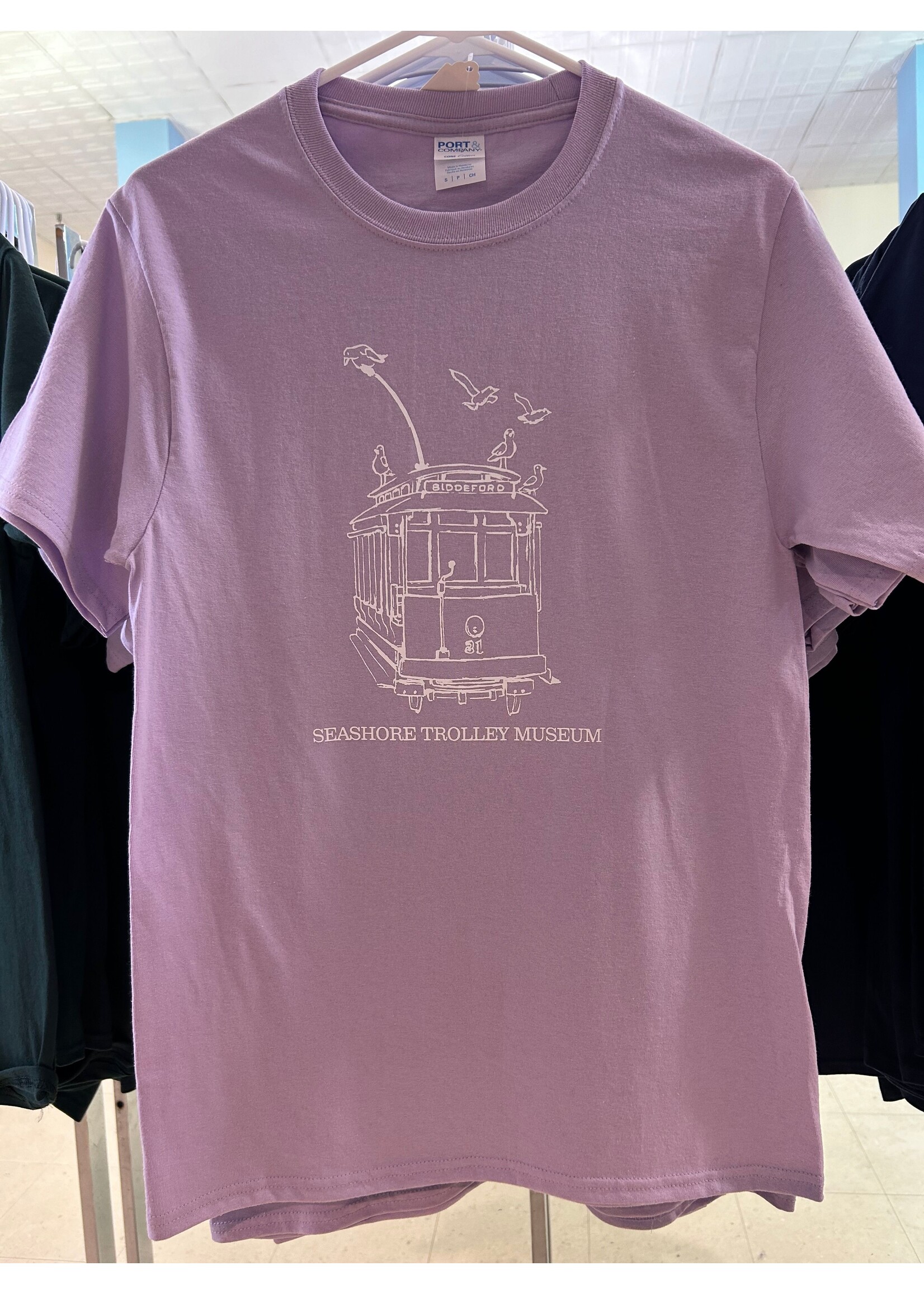 Port & Co DH Seagulls Lavender