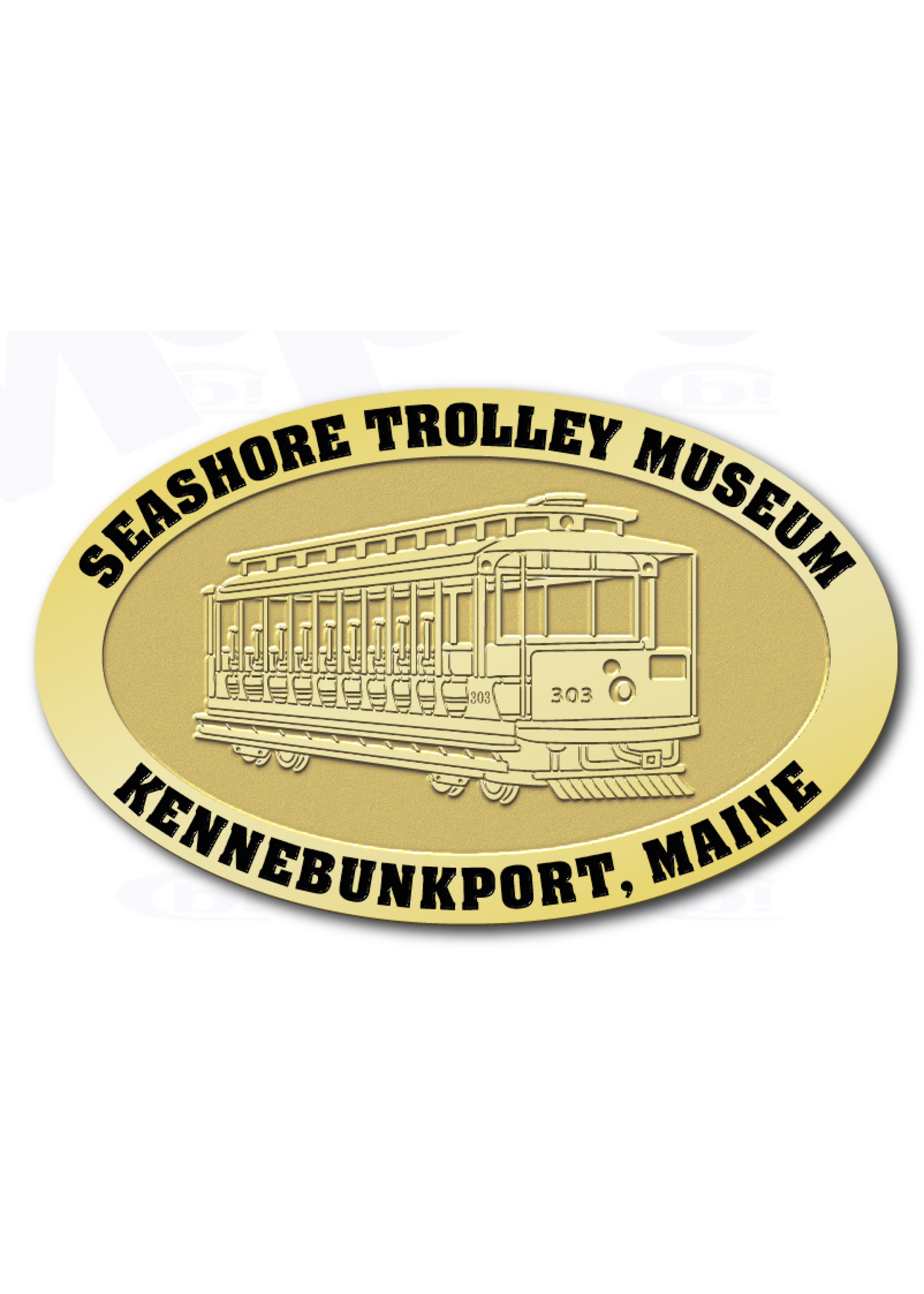 Custom Pin, Inc. STM Logo Custom Pin
