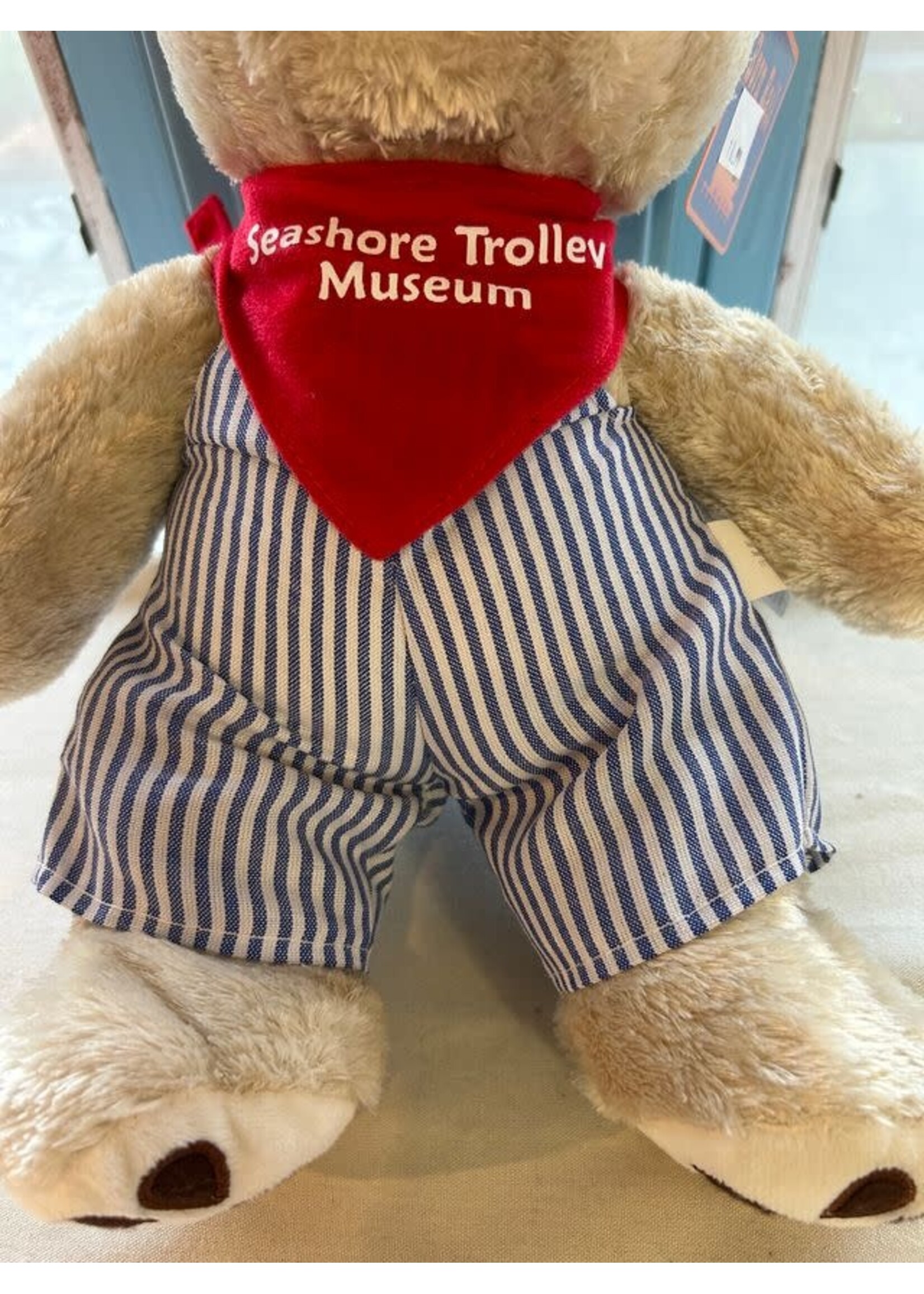 Born Rail Products Customized Teddy Bear STM Logo on Scarf