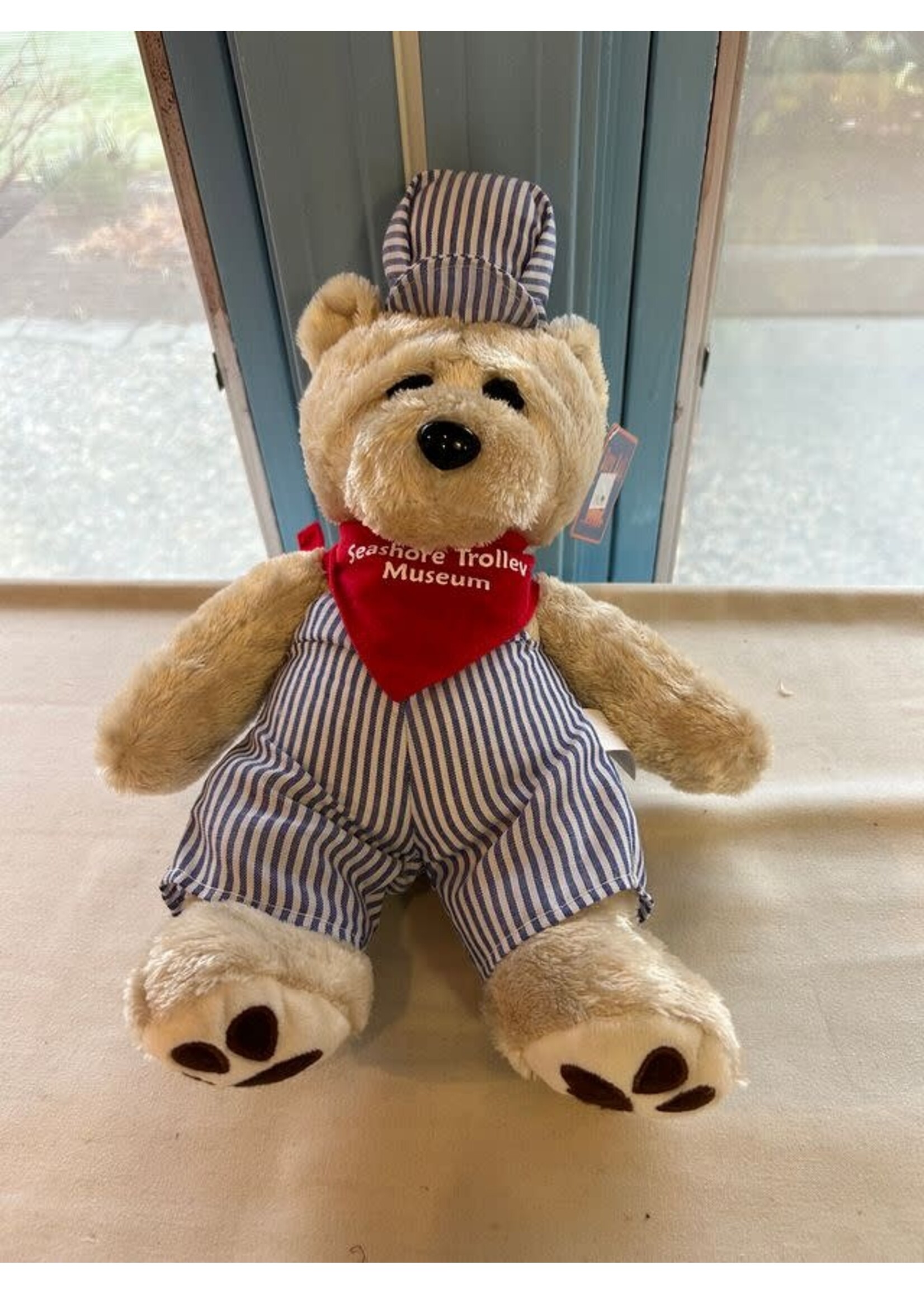 Born Rail Products Customized Teddy Bear STM Logo on Scarf