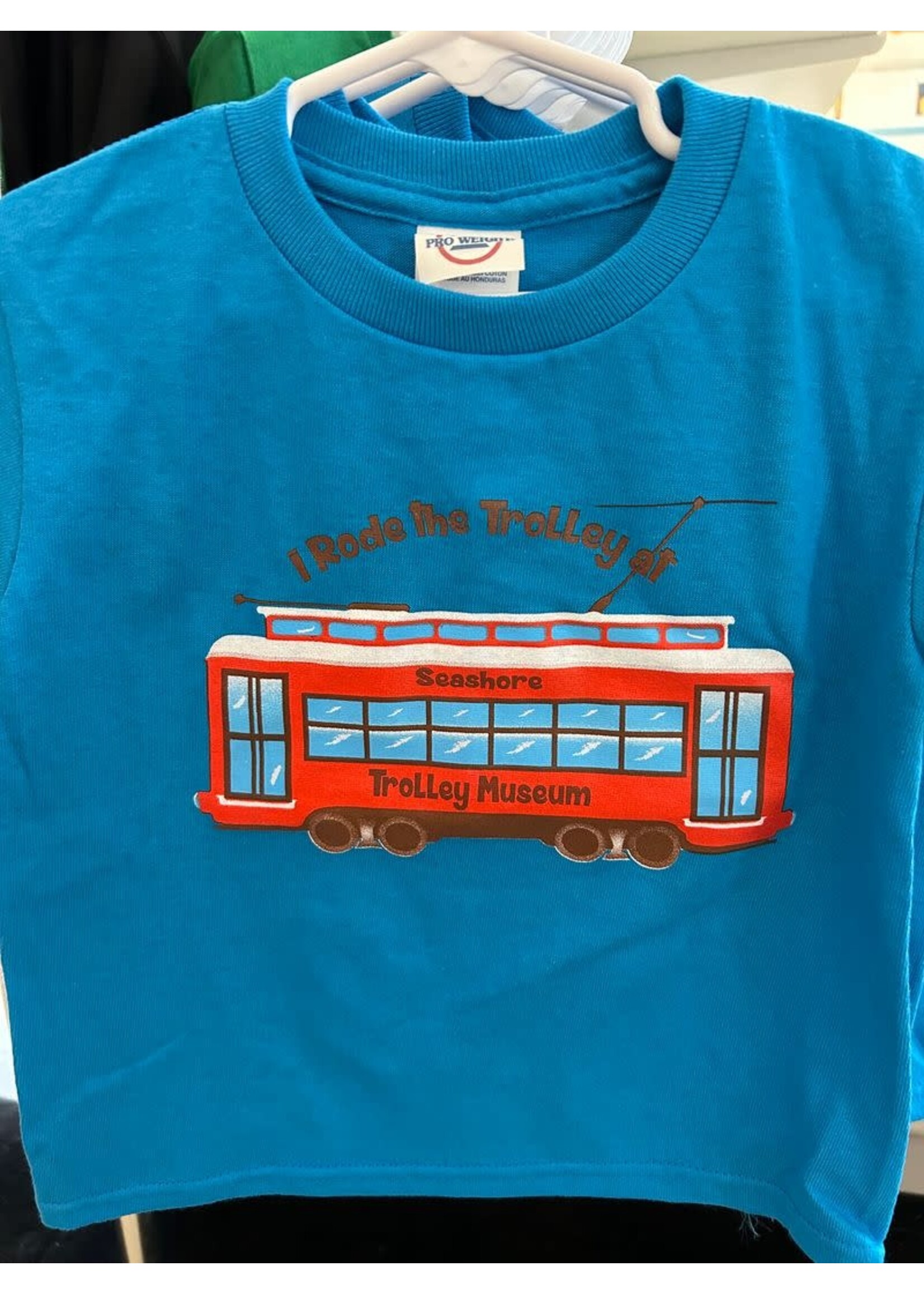 I Rode the Trolley at STM