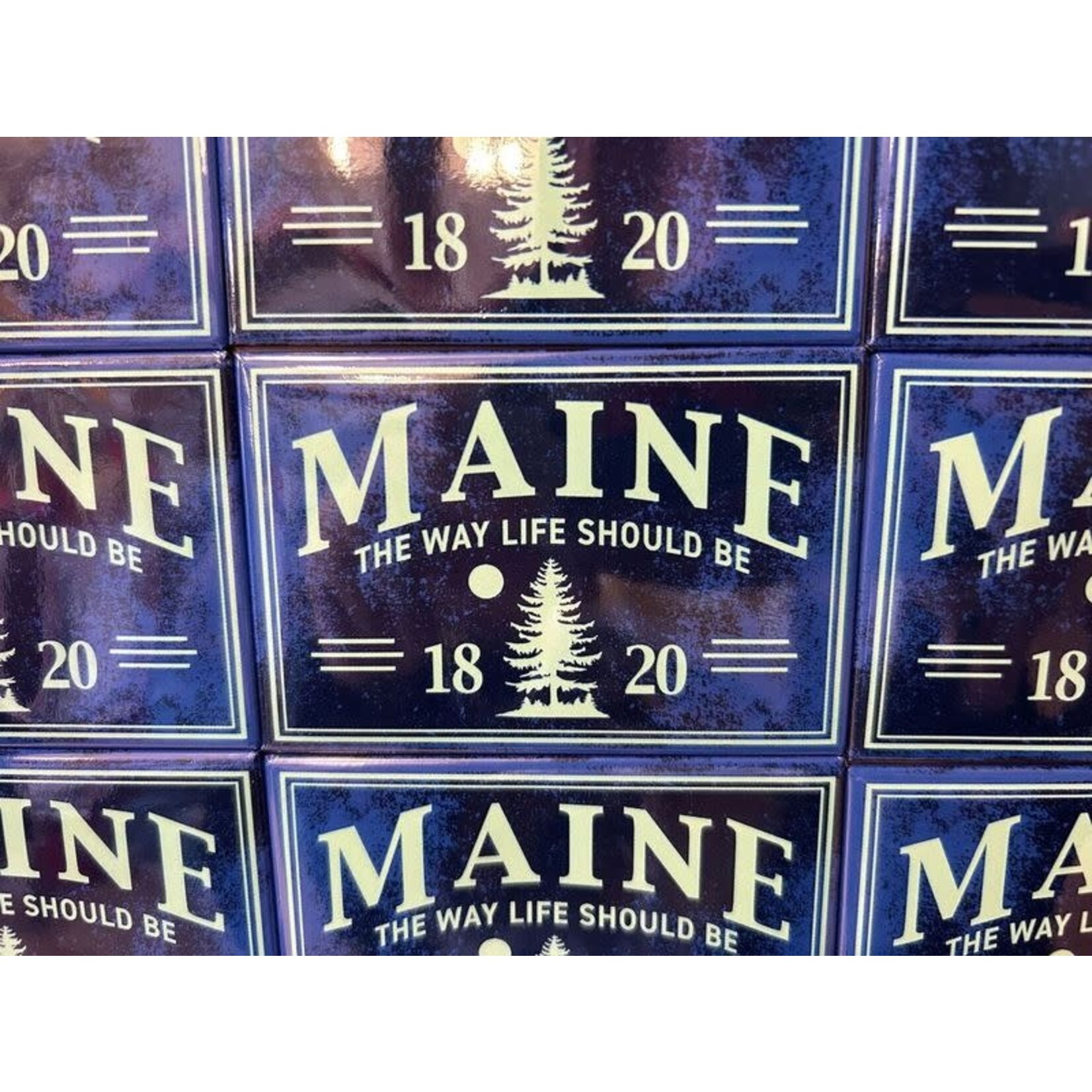 Maine Pine Tree Magnet