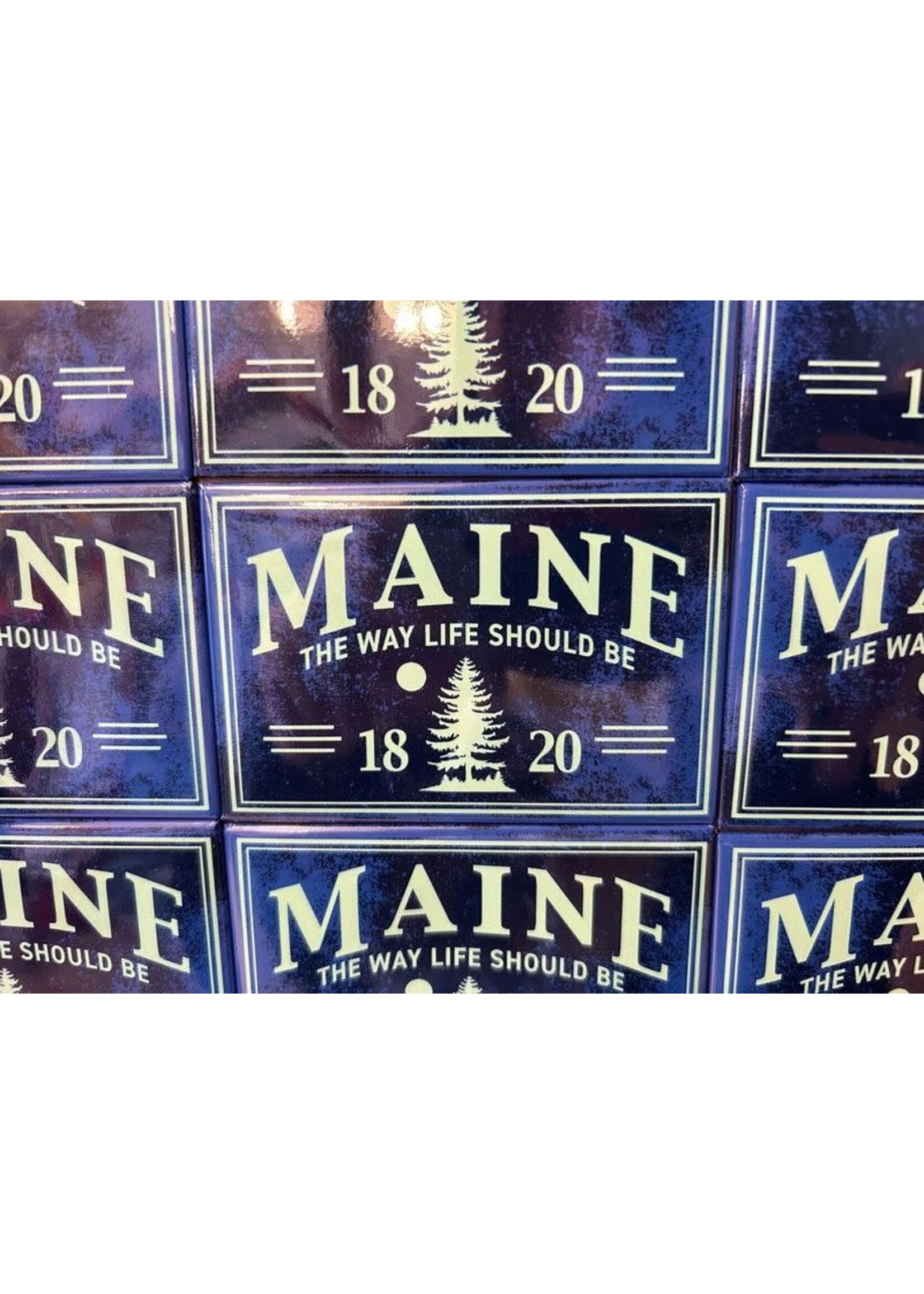 Maine Pine Tree Magnet