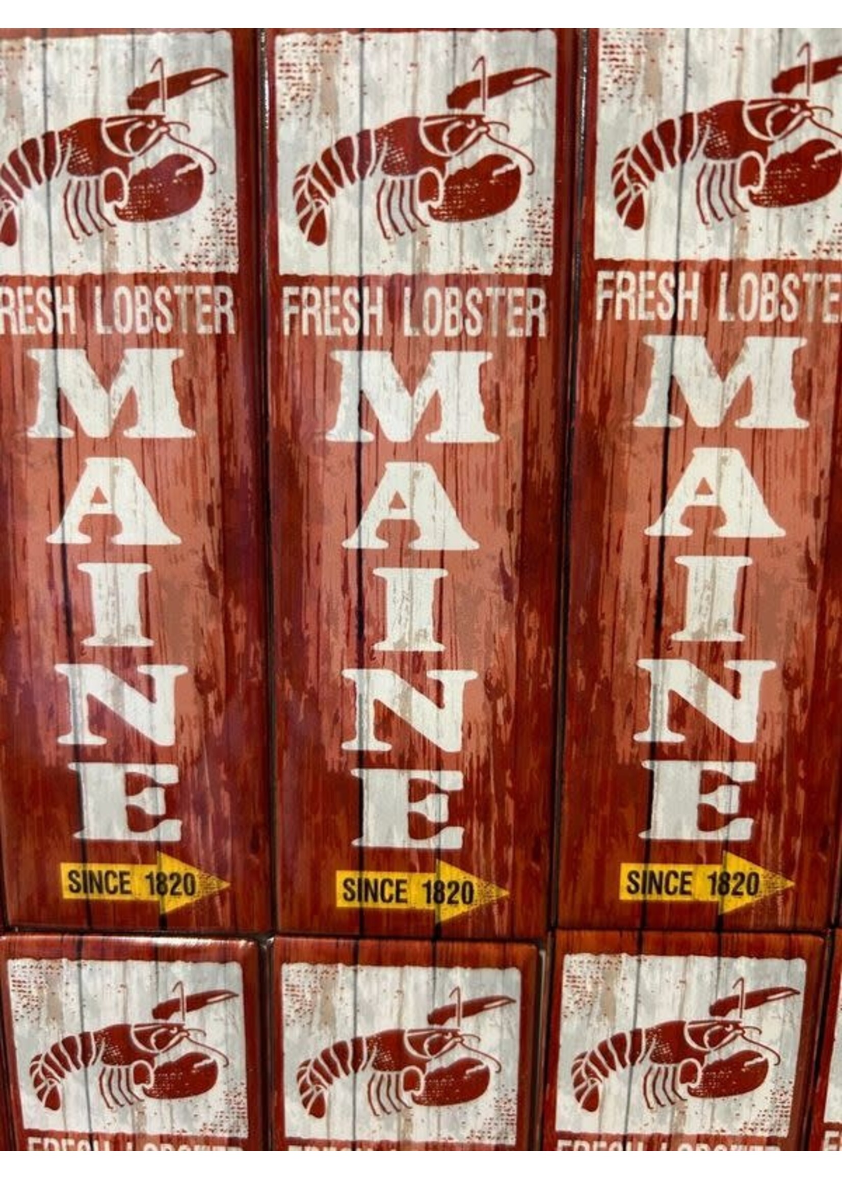 Vertical Lobster Magnet