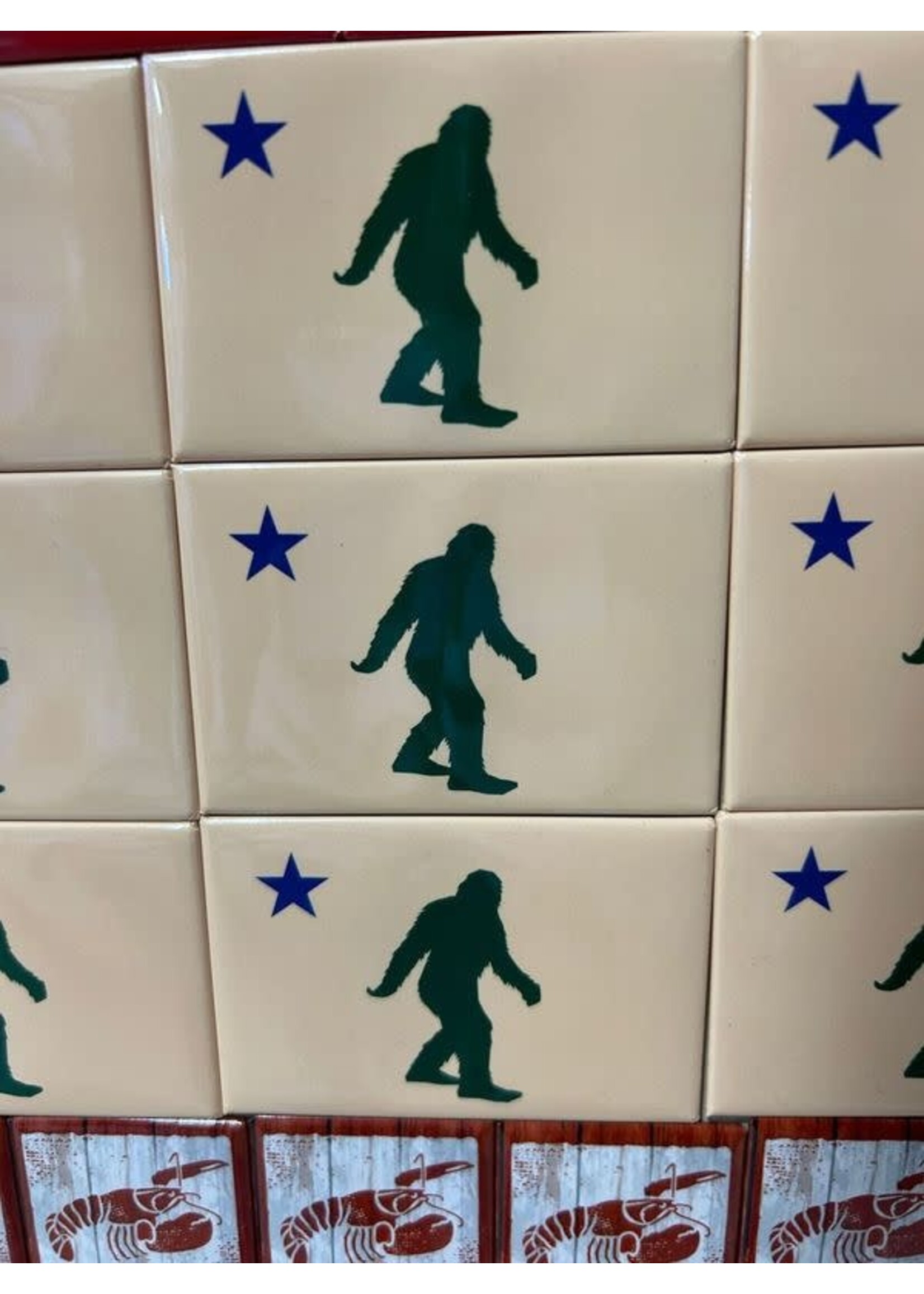 Bigfoot and Star Magnet