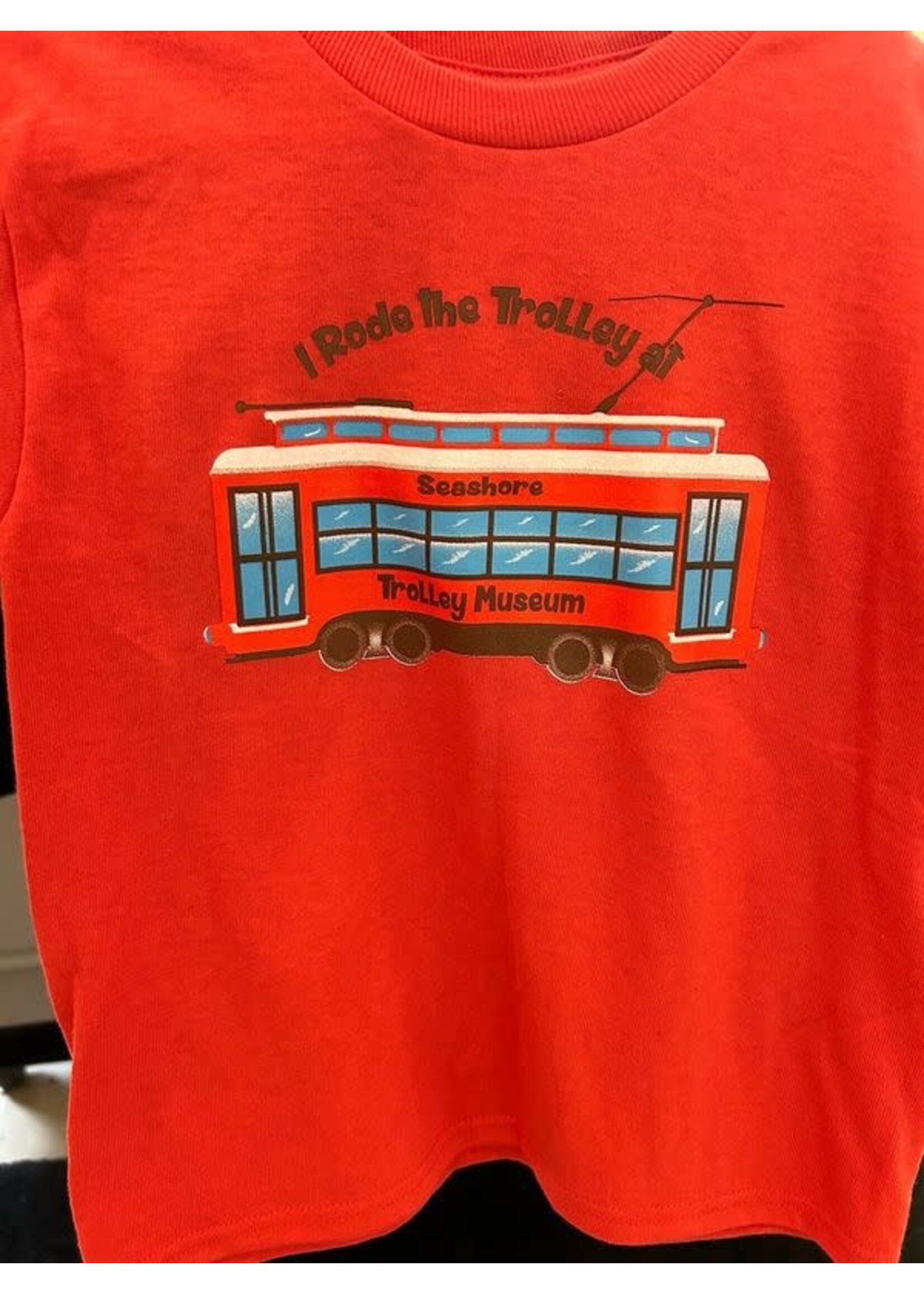I Rode the Trolley at STM