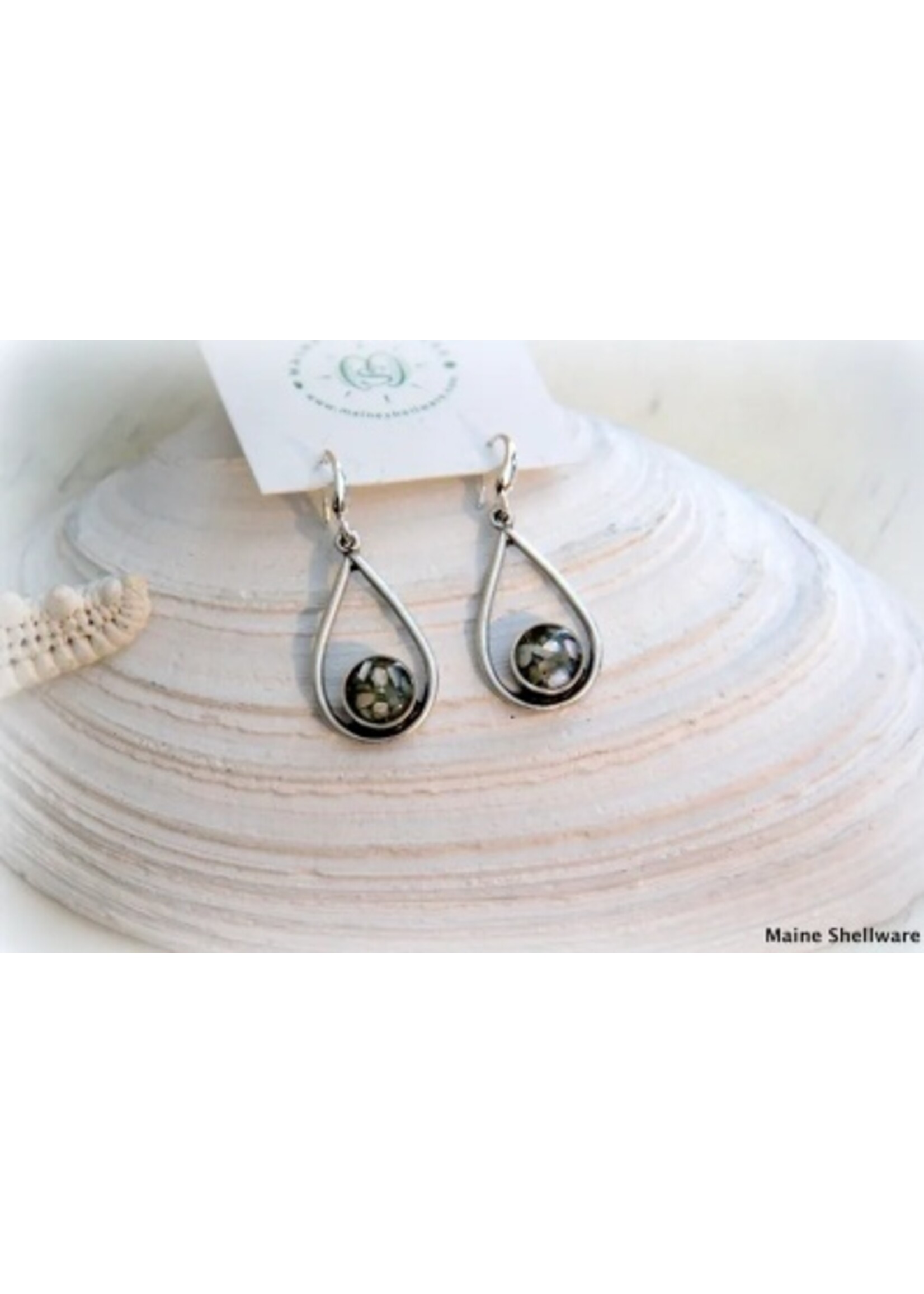 Maine Shellware Maine Shellware Tear Drop Earrings