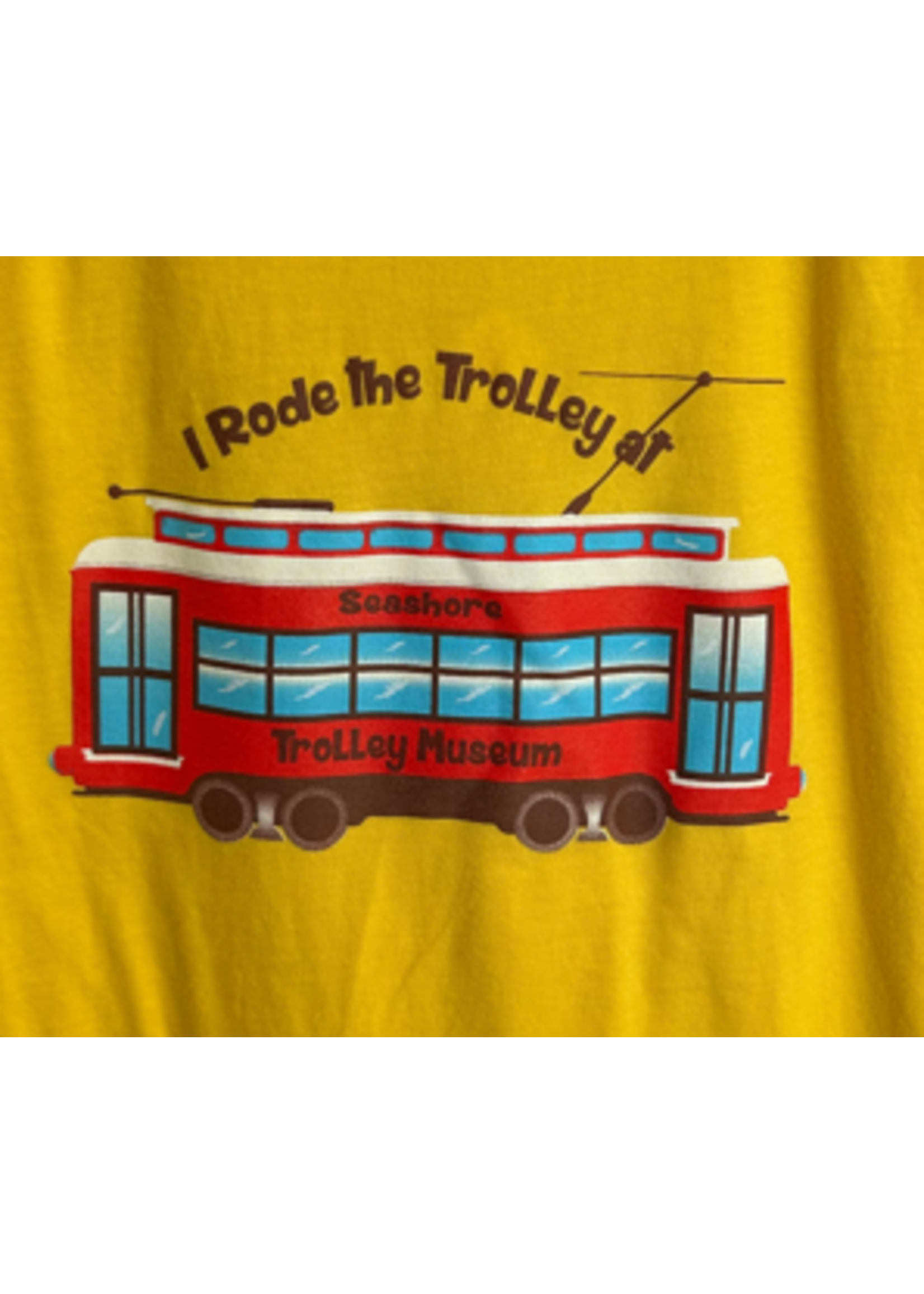 I Rode the Trolley at STM