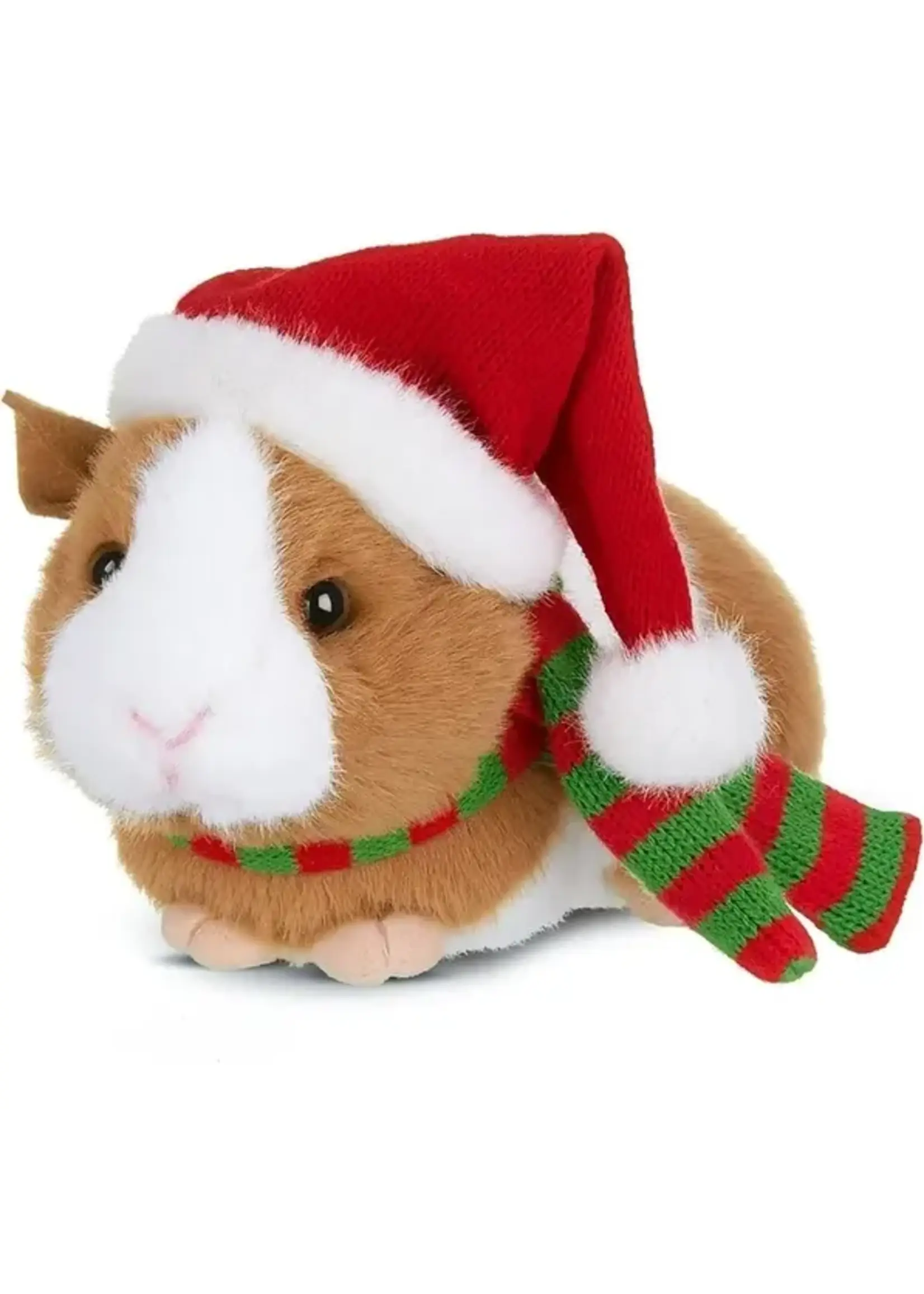 Jolly Ginny the Guinea Pig