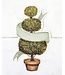 HESTER & COOK TOPIARY PAPER TABLE ACCENT