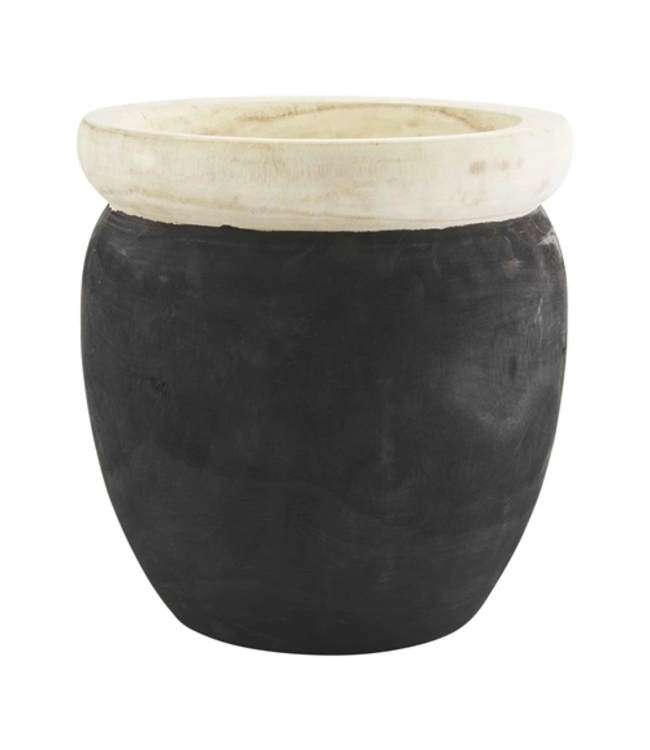 Black Paulownia Pot