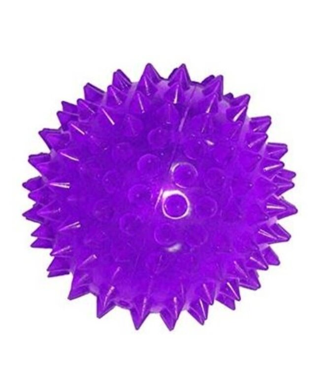 Flashing Spiky Ball Bouncy Squeezy
