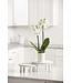 White Beaded Pedestal Tray