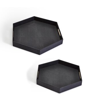 Black Hexagon Stingray Tray with Golden Handle