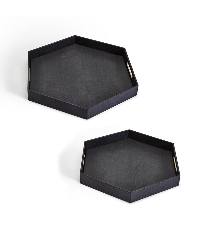 Black Hexagon Stingray Tray with Golden Handle
