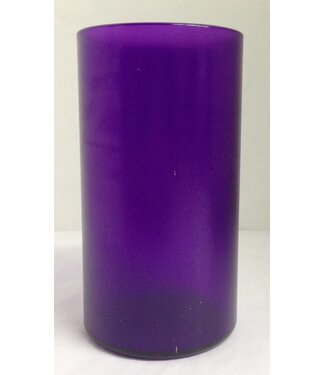 Bentley Plum 20oz