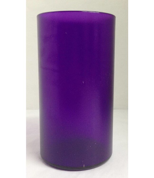 Bentley Plum 20oz