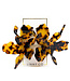 Flora Earrings
