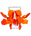Flora Earrings