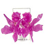 Flora Earrings