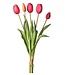 15.25” PL Soft Touch Tulip Bundle X5