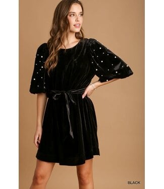 Samantha Velvet Dress