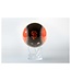 MOVA INTERNATIONAL 4.5" MLB San Francisco Giants Globe w/ Base