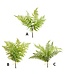 20” Soft Touch Fern