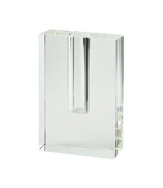 TIZO Crystal Glass Rectangle Bud Vase Short