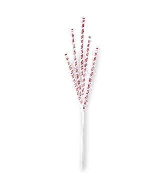 24 Inch Glittered Red & White Flocked Spiral Spike Spray