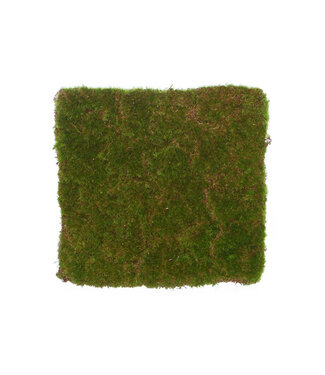 16.25" MOSS MAT