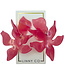 Flora Earrings