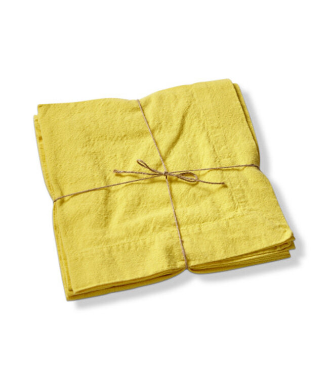 Threads Slub Napkin - Sold as Set