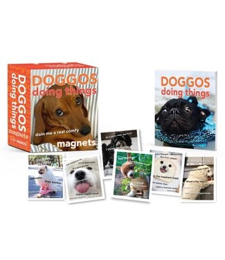 Doggos Doing Things Magnets