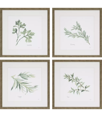 Herbs