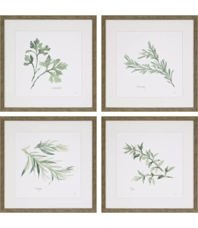 Herbs