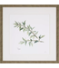 Herbs