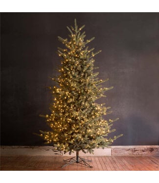 10' Park Hill Blue Spruce LED Light