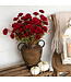 20” Dark Red Mixed Foliage Camellia Bush