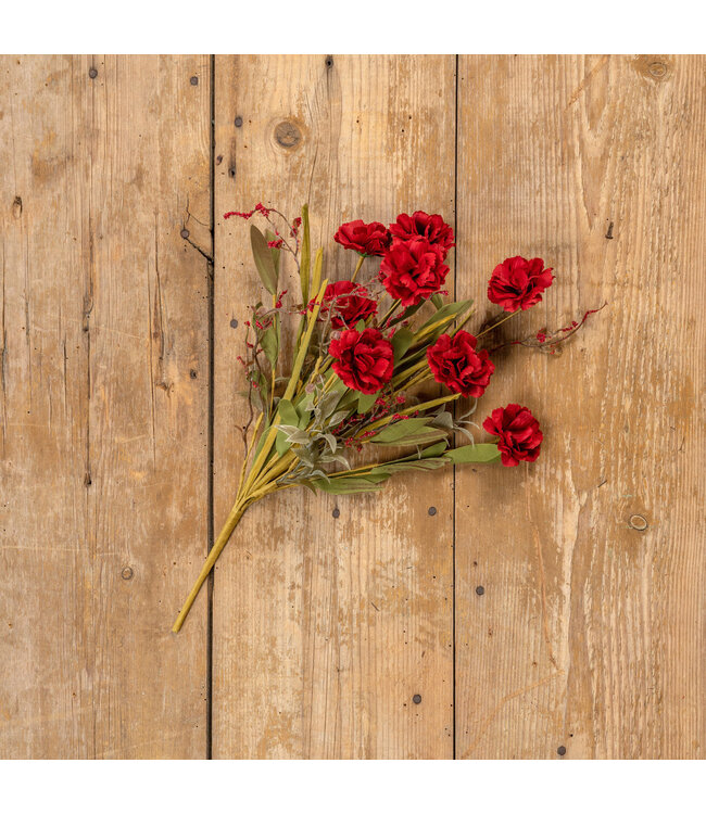 20” Dark Red Mixed Foliage Camellia Bush